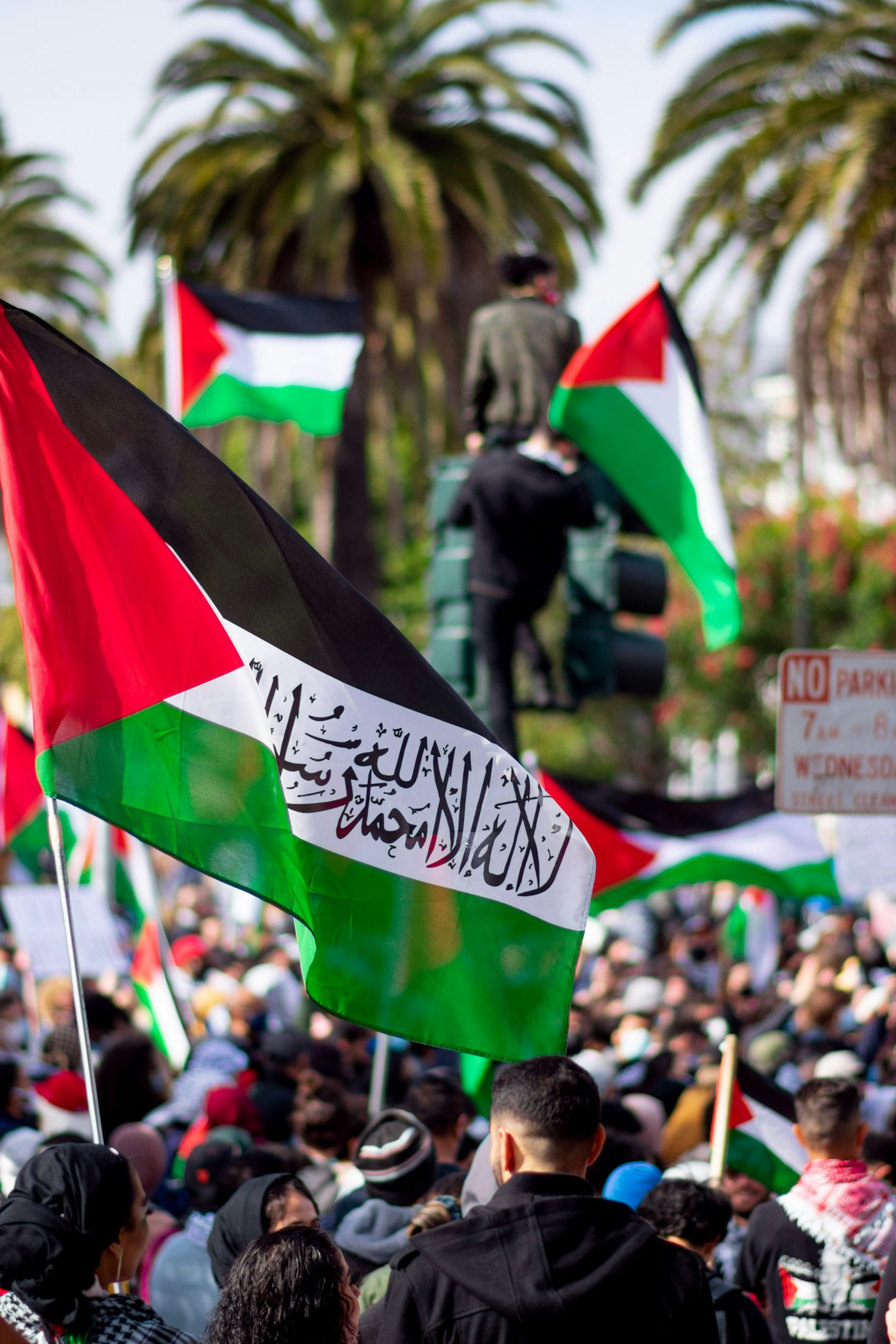 Cómo organizar una manifestación por Palestina